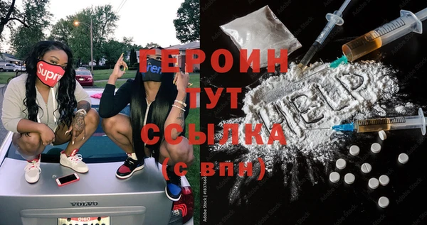 хмурый Пересвет