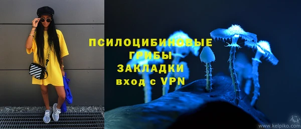 PSILOCYBIN Остров