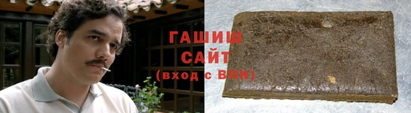 хмурый Пересвет