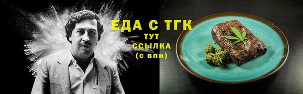 хмурый Пересвет