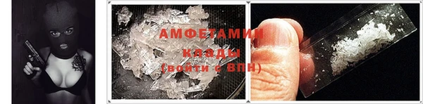 хмурый Пересвет