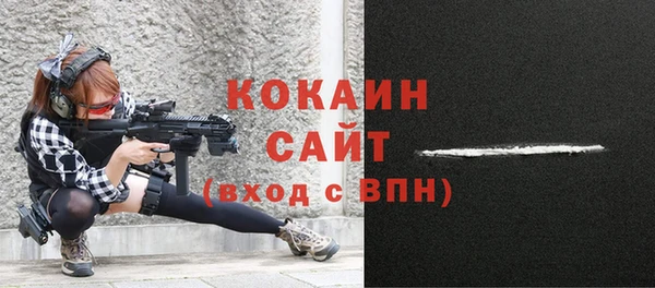хмурый Пересвет