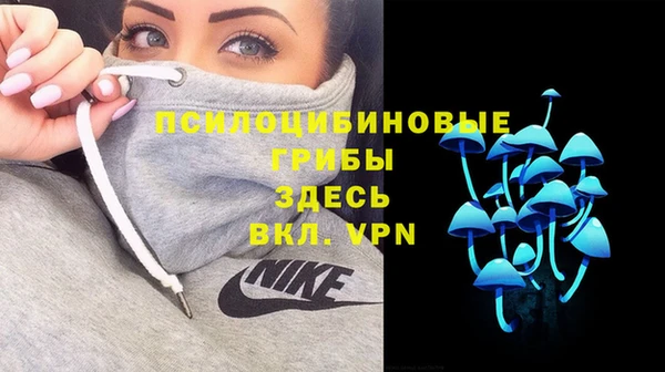 PSILOCYBIN Остров