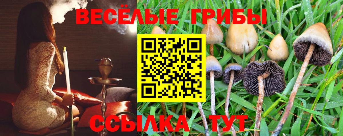 Псилоцибиновые грибы MAGIC MUSHROOMS Лысьва