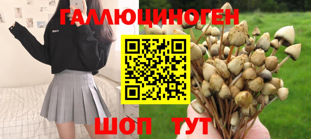 Лысьва  Галлюциногенные грибы Magic Shrooms  Вход с VPN 